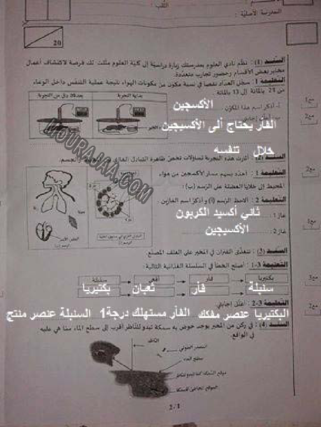 اصلاح مناظرة الايقاظ العلمي 2016